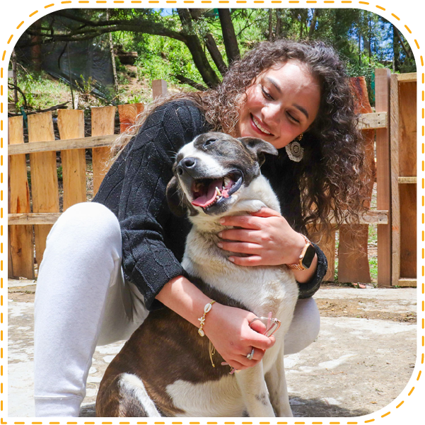 Home por que Kukur Tihar MA 2