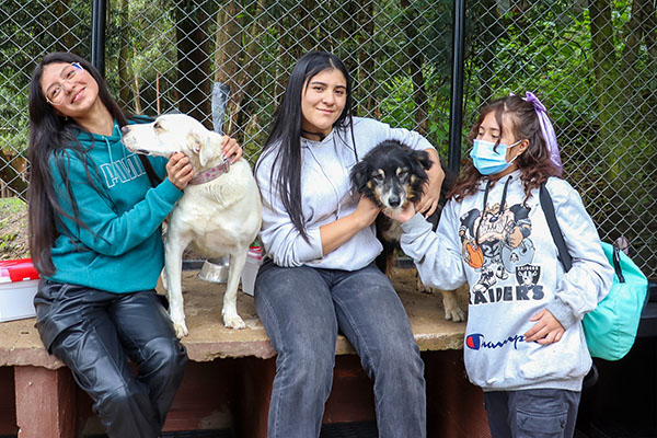 Nosotros estudiantes Nosotros estudiantes