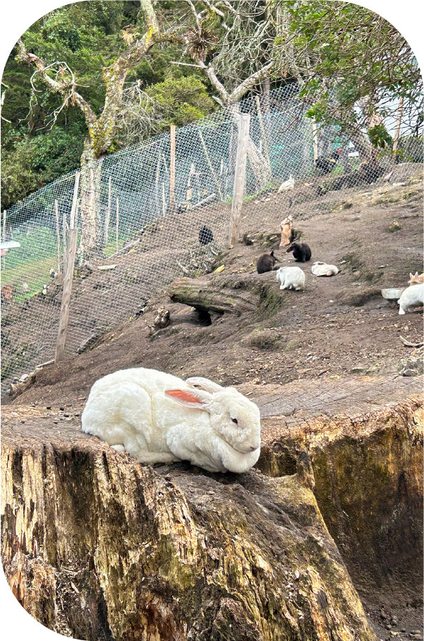 Nosotros seccion 1A Nosotros seccion 1A