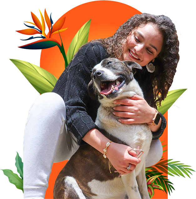 Porque Kukue Tihar Porque Kukue Tihar